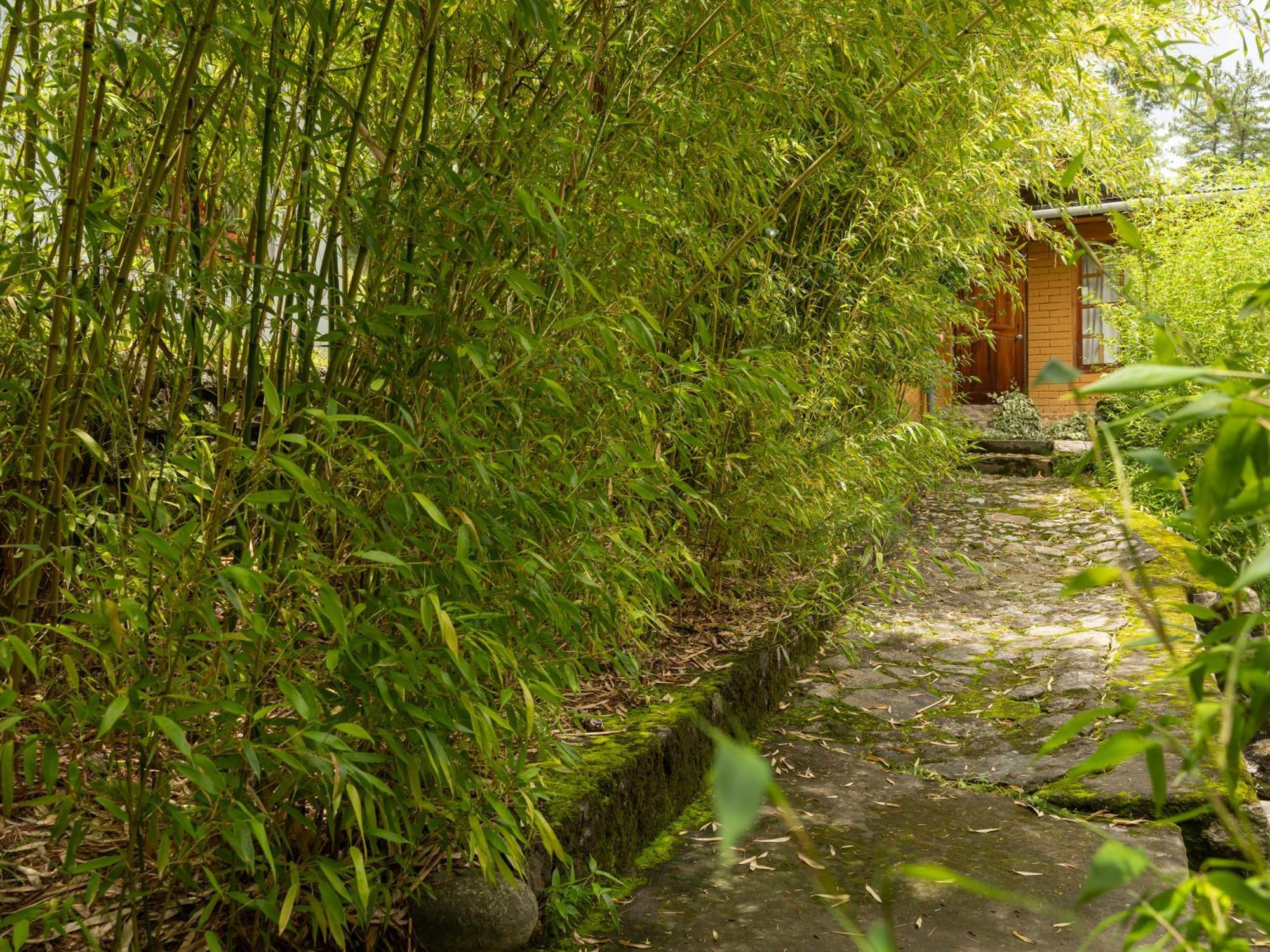 Tiger'S Nest Resort - Best Resort In Paro Luaran gambar